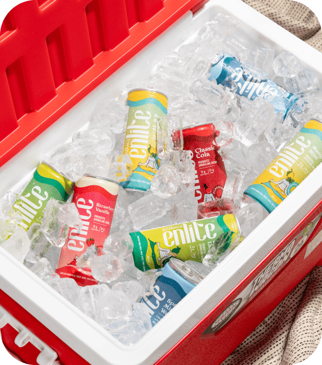 The Curious Collection